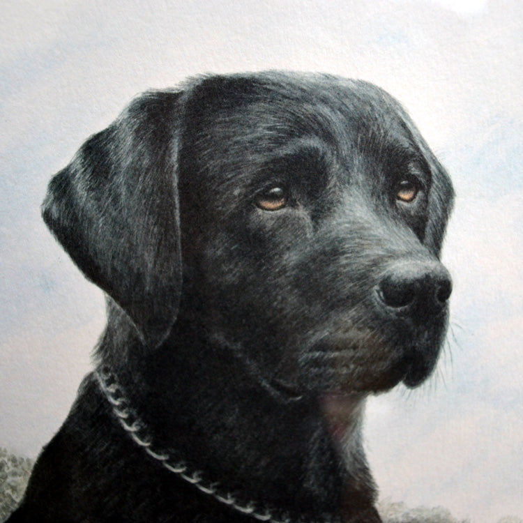 Black Labrador Print Framed Signed Signed Limited Edition