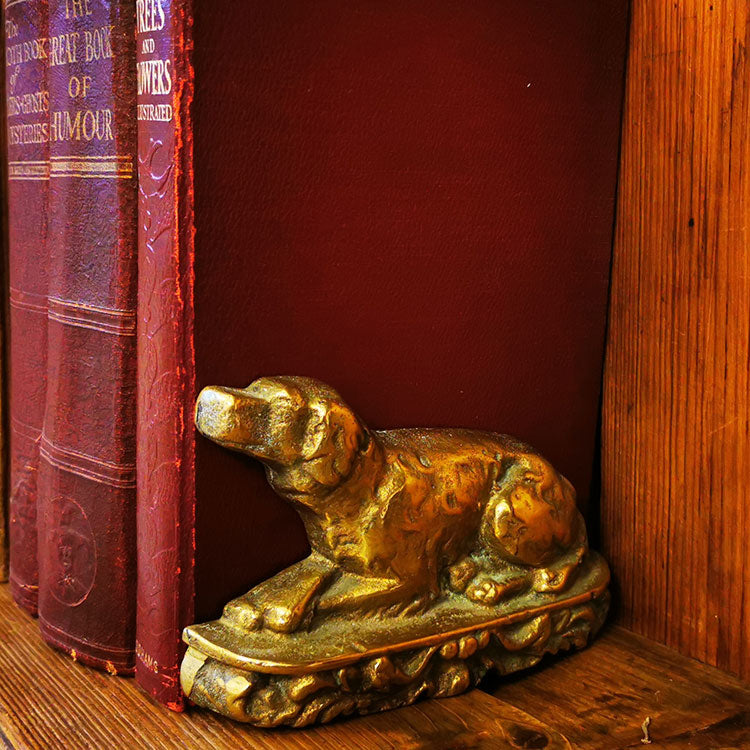 Spaniel on Book newest Paperweight