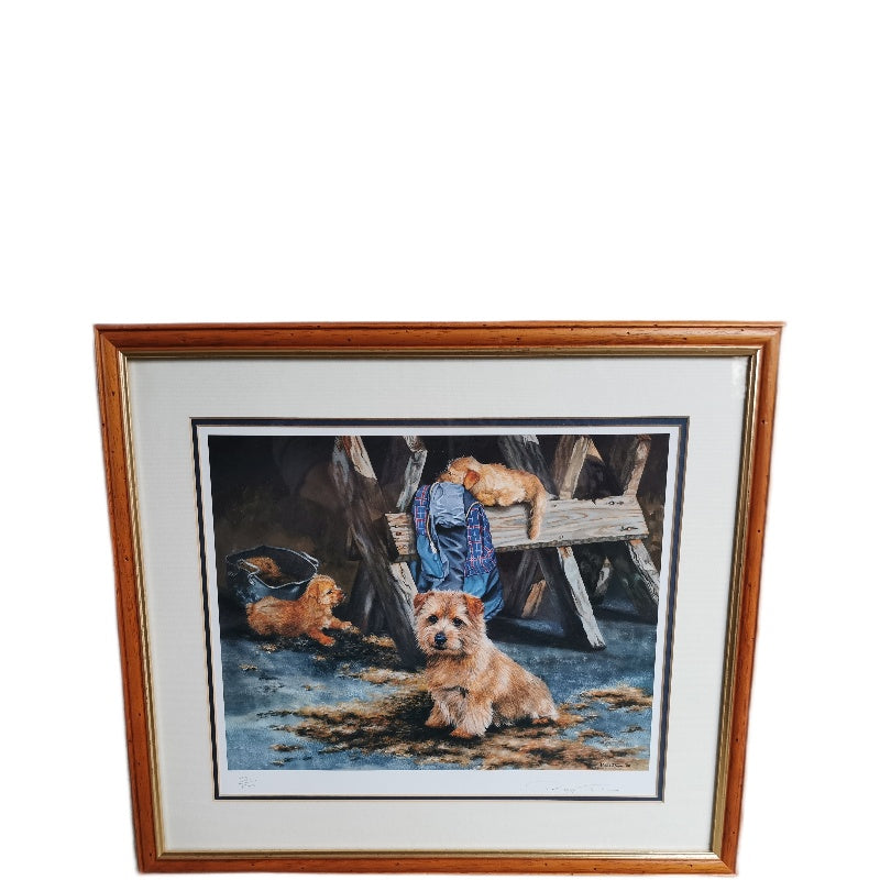 Norfolk Terrier Print Pippa Thew Signed Framed Limited Edition