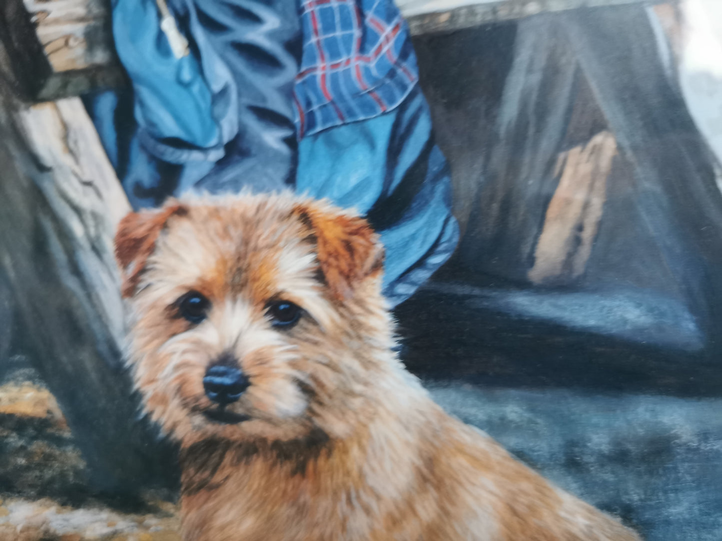 Norfolk Terrier Print Pippa Thew Signed Framed Limited Edition