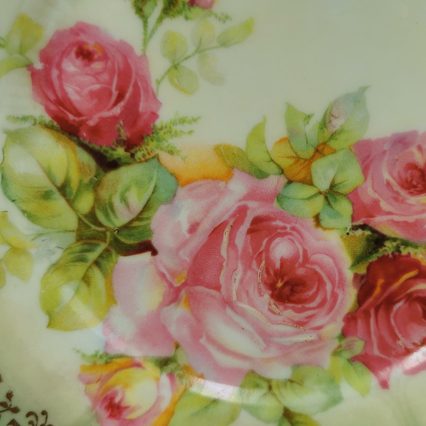 rose pattern floral china antique