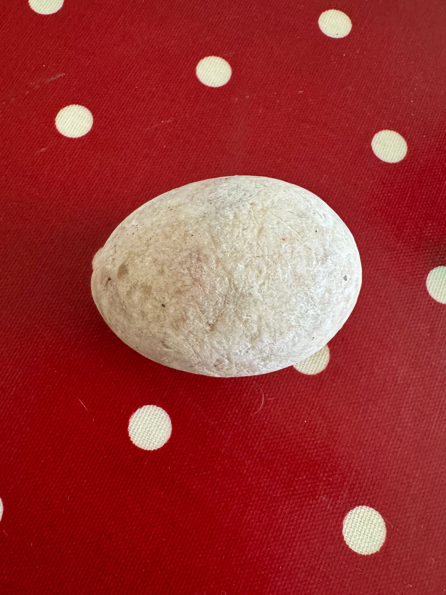 vintage dummy egg